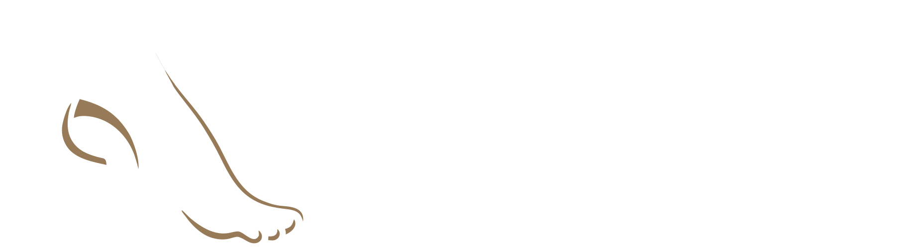 de-pie.com Logo